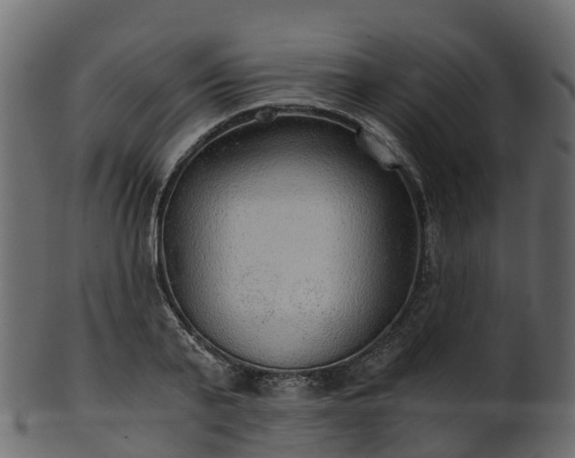 X0000101110791200807031738