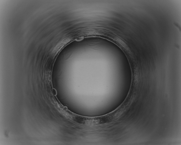 X0000101110793200807031738