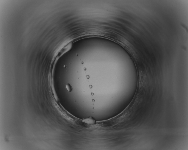 X0000101110796200807031738