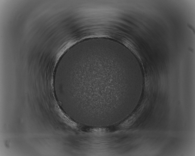 X0000101110797200807031738