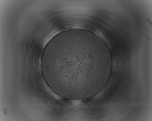 X0000101110798200807031738