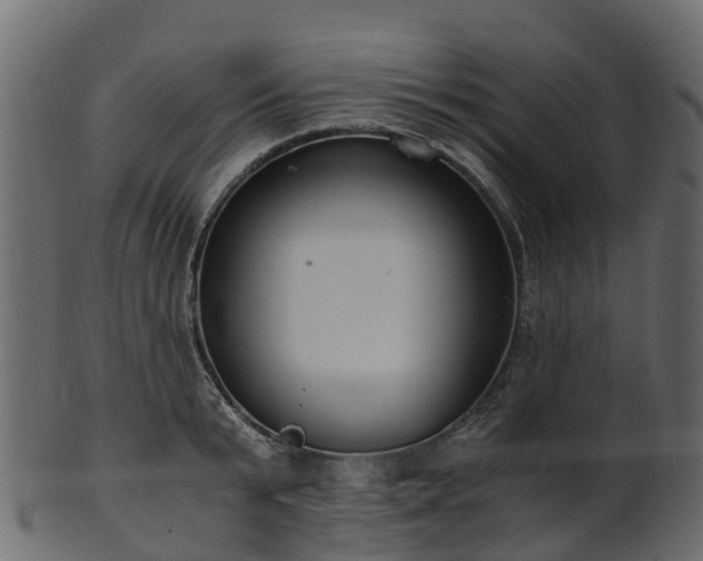 X0000101110799200807031738