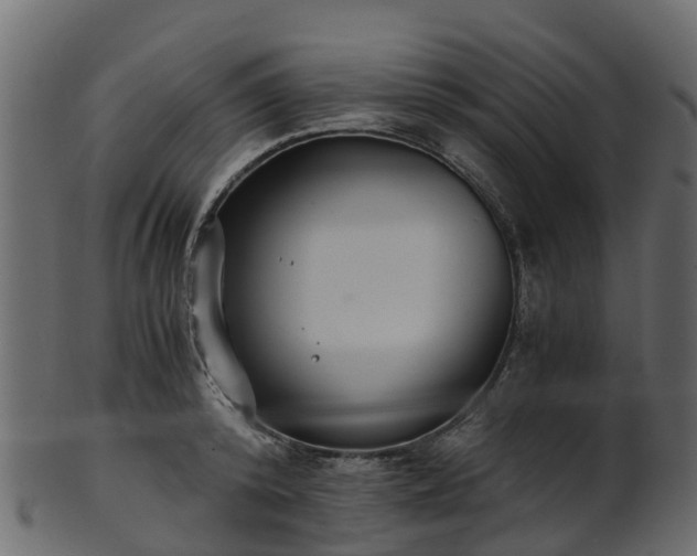 X0000101110800200807031738