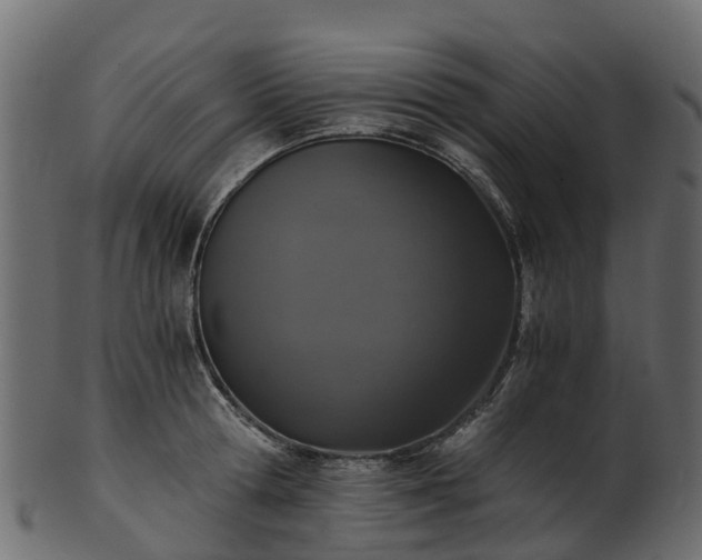 X0000101110802200807031738
