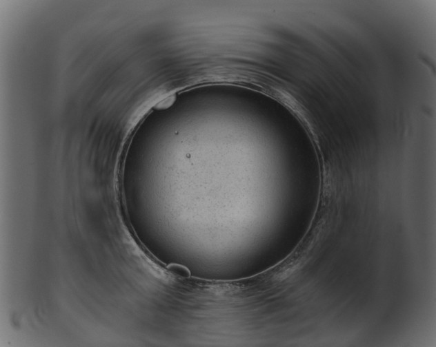 X0000101110803200807031738