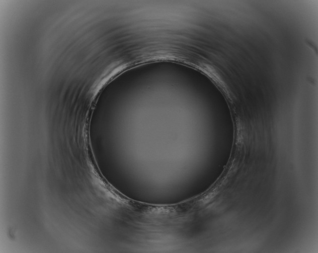 X0000101110806200807031738