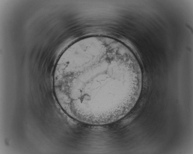 X0000101110807200807031738