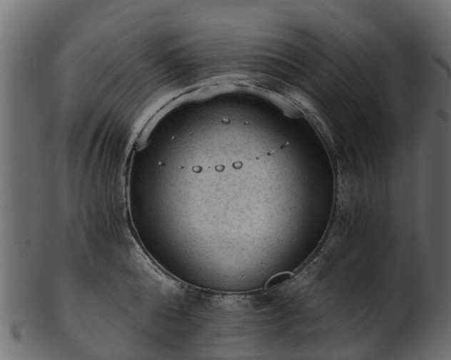 X0000101110808200807031738