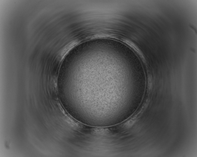 X0000101110809200807031738