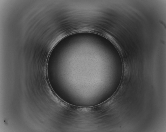 X0000101110810200807031738