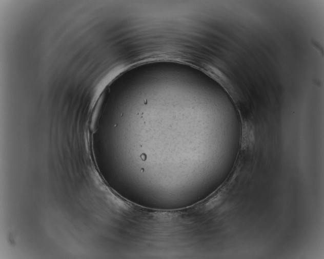 X0000101110812200807031738