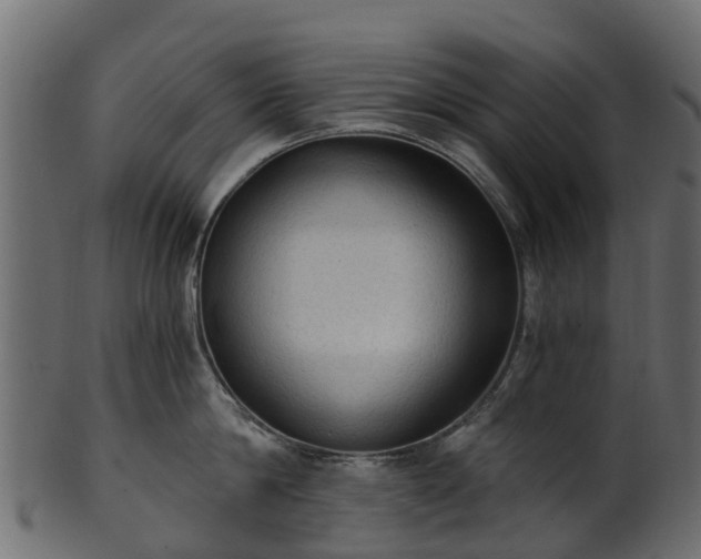 X0000101110814200807031738