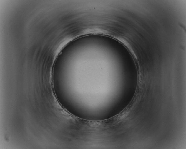 X0000101110815200807031738