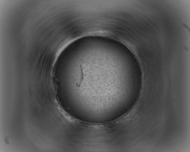 X0000101110816200807031738