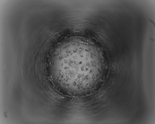 X0000101110817200807031737
