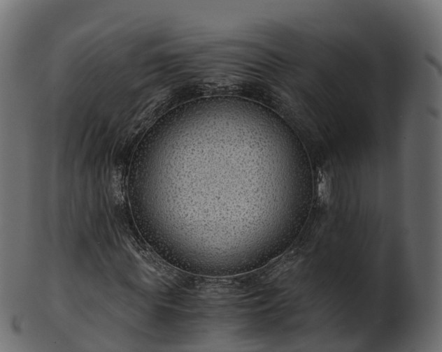 X0000101110819200807031737