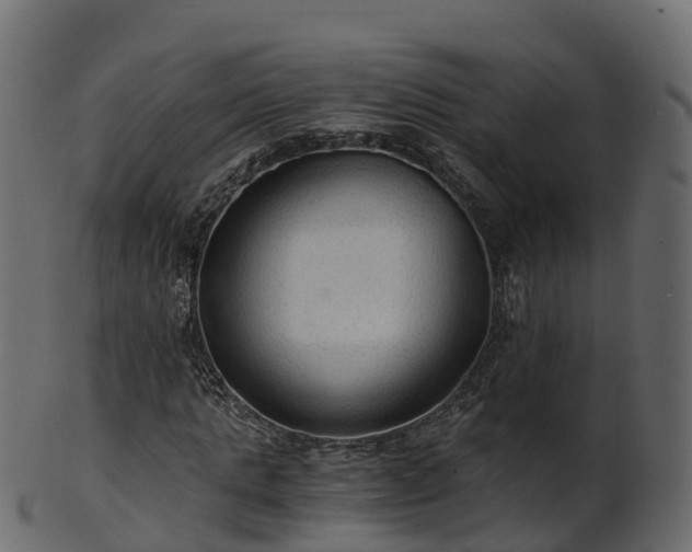 X0000101110821200807031737