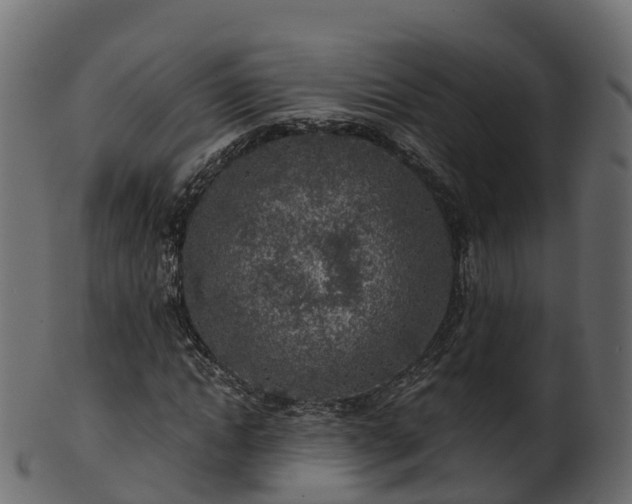 X0000101110822200807031737