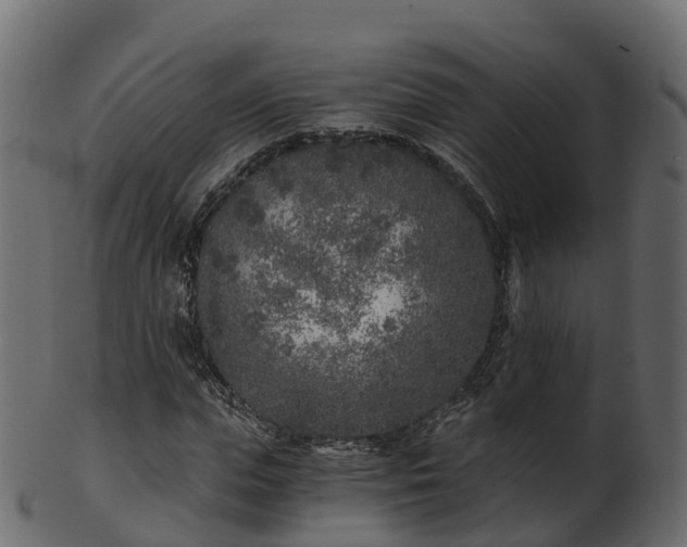 X0000101110823200807031737