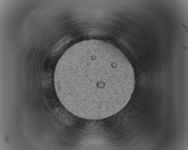 X0000101110824200807031737