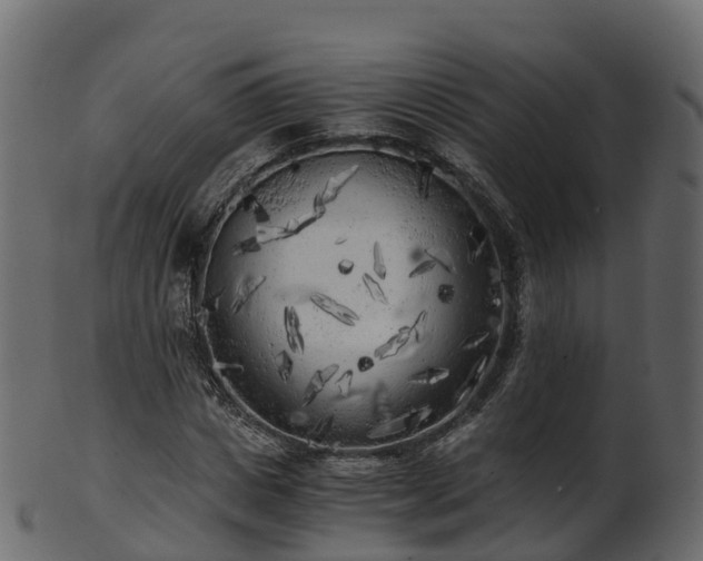 X0000101110825200807031737