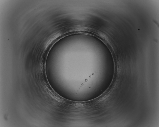X0000101110827200807031737