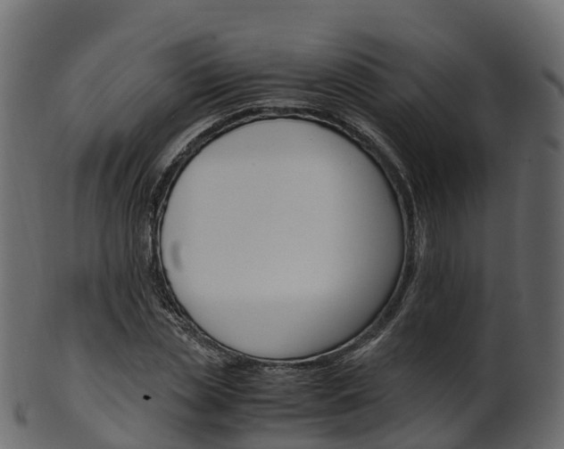 X0000101110829200807031737