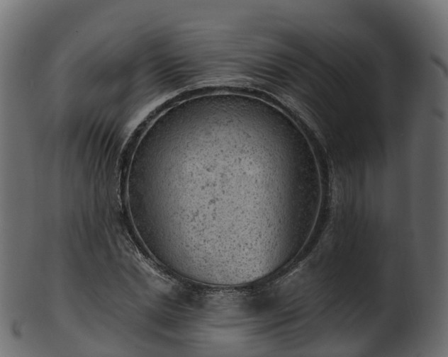 X0000101110830200807031737