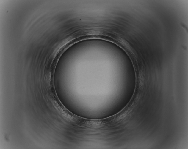 X0000101110831200807031737