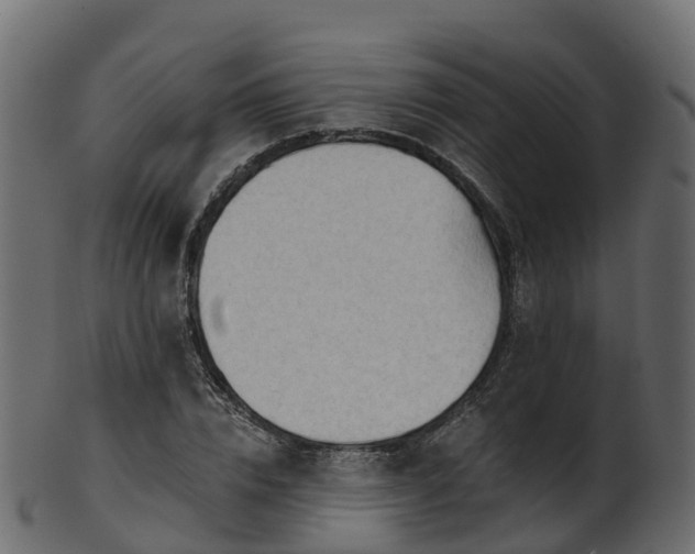 X0000101110832200807031737