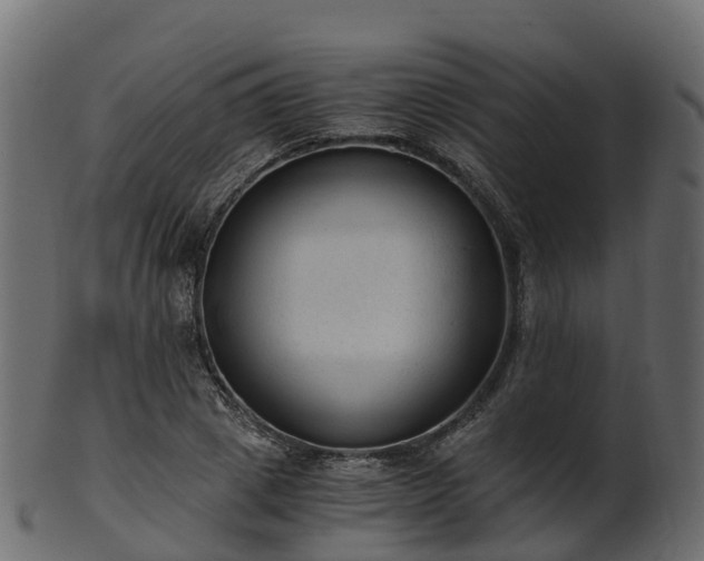 X0000101110833200807031737