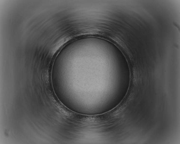 X0000101110834200807031737
