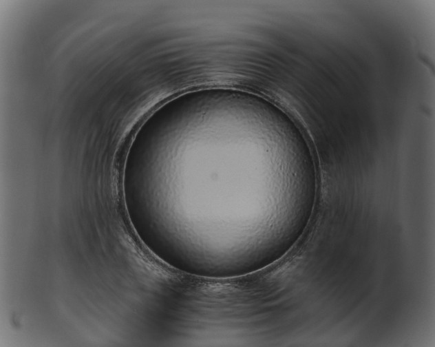 X0000101110835200807031737