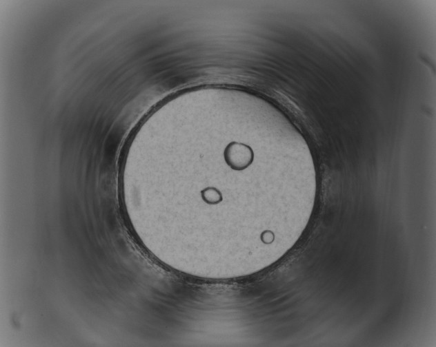 X0000101110836200807031738