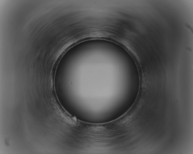 X0000101110837200807031738