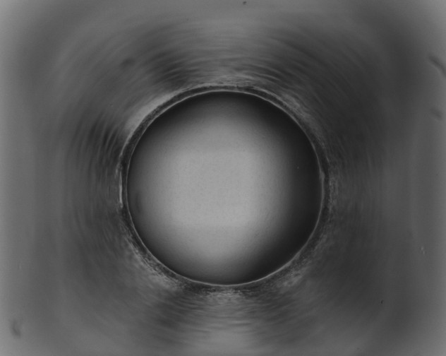 X0000101110838200807031738