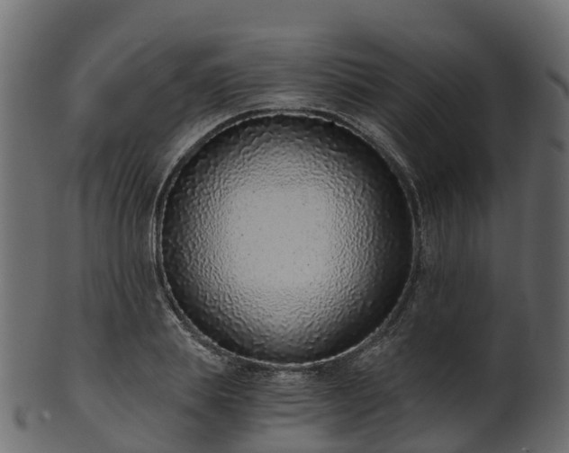 X0000101110839200807031738