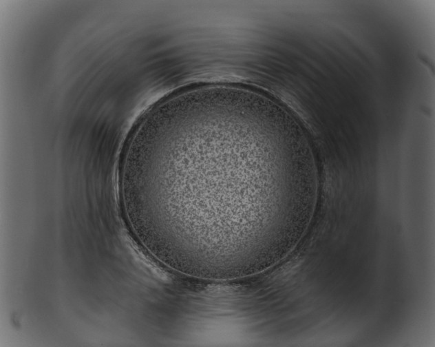 X0000101110840200807031738