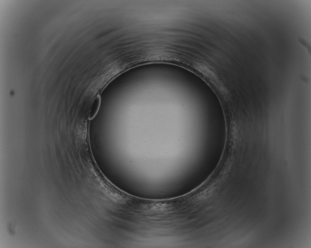 X0000101110841200807031738