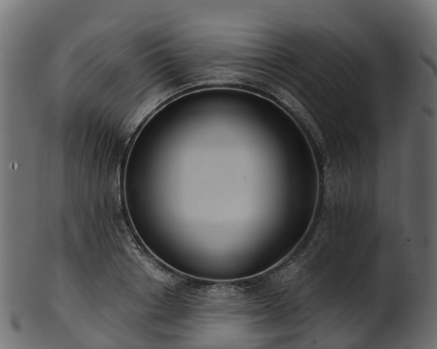 X0000101110842200807031738