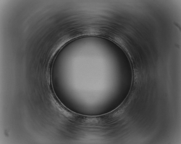 X0000101110843200807031738