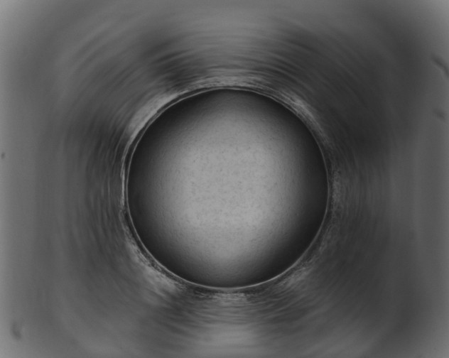 X0000101110844200807031738