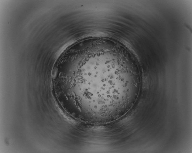 X0000101110845200807031738