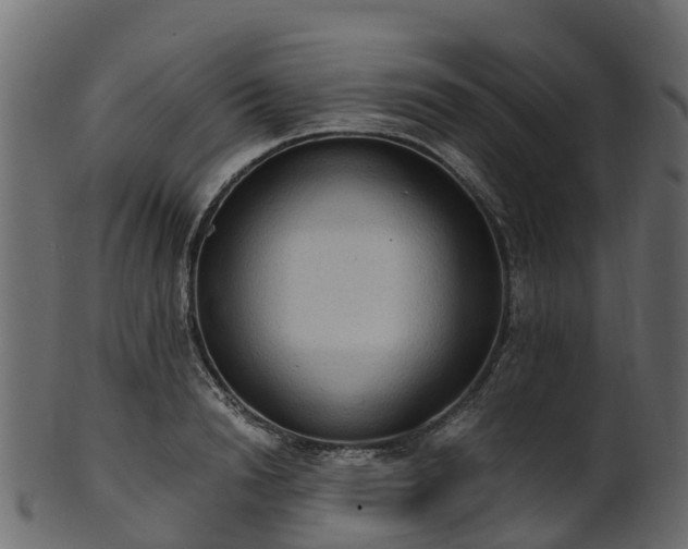 X0000101110846200807031738