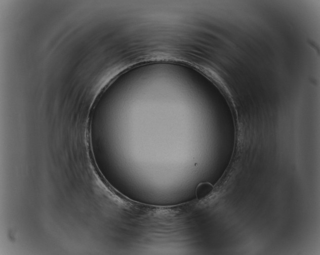 X0000101110847200807031738