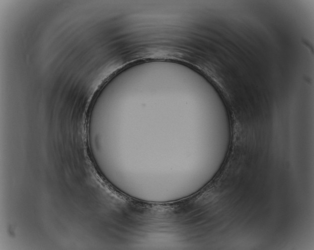 X0000101110848200807031738