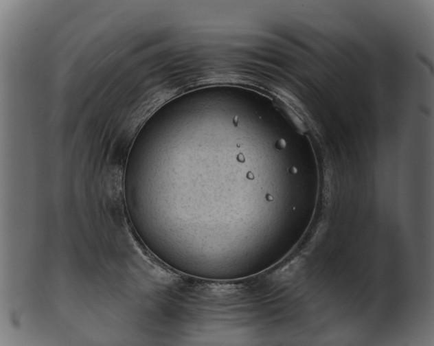 X0000101110849200807031738