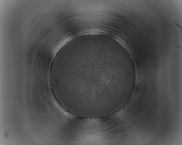 X0000101110850200807031738