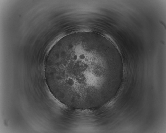 X0000101110851200807031738
