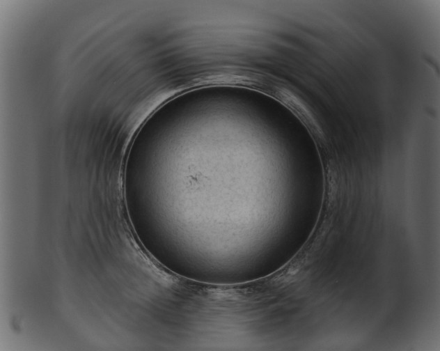 X0000101110852200807031738